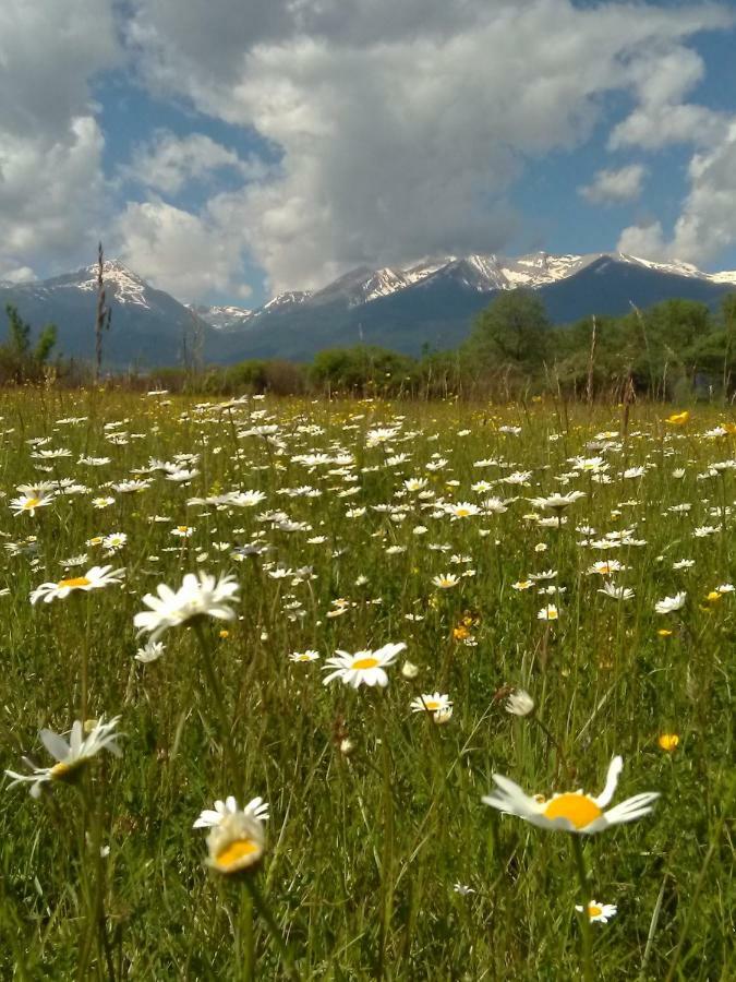 Belvedere Luxury Spa Apartments Bansko Luaran gambar